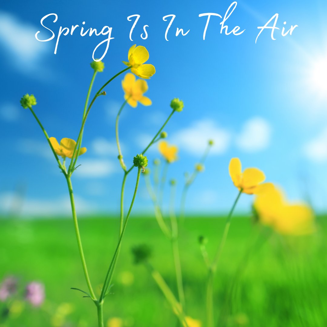 🌼 Spring Resin-Spiration 🌼 - Craft Resin US