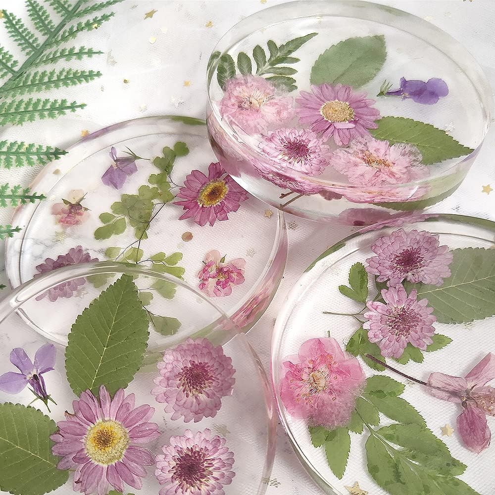 6 - Cavity Deep Round Coaster Molds - Craft Resin US